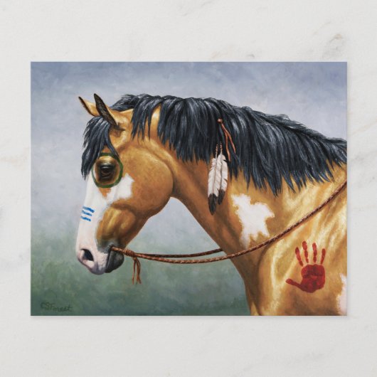 バックスキンピント先住民アメリカンウォーホース (正面)