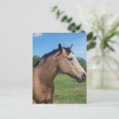 バックスキンマスタングはがき ポストカード (スタンド正面)