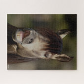 バックスキンルシタノスタリオンフルメンヘッドショット ジグソーパズル (横)