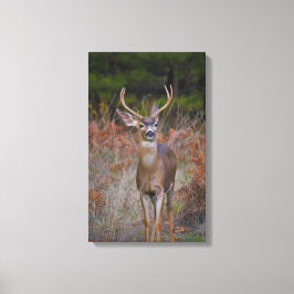 バックストップー！ キャンバスプリント