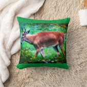 バックス・ラブ クッション (ブランケット)