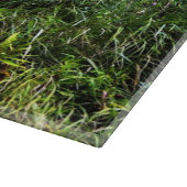 バックディアサイズのカッティングボード カッティングボード (角)