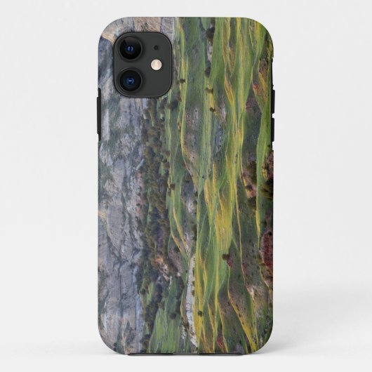 バックヒル展望台から見たカラフルな荒地 Case-Mate iPhoneケース (裏面)