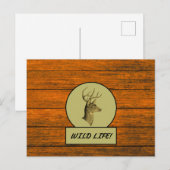 バックヘッド ウッドグレイン ポストカード (正面/裏面)