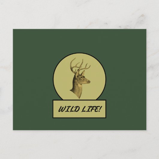 バックヘッド ダークグリーン ポストカード (正面)