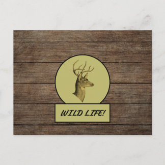 バックヘッド ダーク ウッド ポストカード