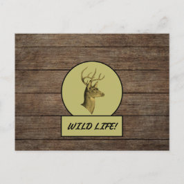 バックヘッド ダーク ウッド ポストカード