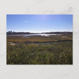 バックベイ、ニューポートビーチ、カリフォルニア ポストカード