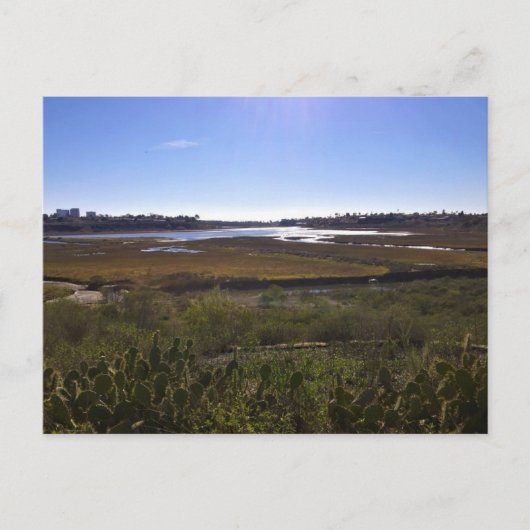 バックベイ、ニューポートビーチ、カリフォルニア ポストカード (正面)