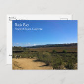 バックベイ、ニューポートビーチ、カリフォルニア ポストカード (正面/裏面)