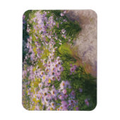 バックホルンアスターのショー マグネット (縦)