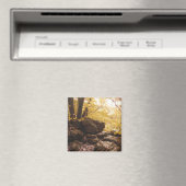 バックボーン州パークアイオワ マグネット (インサイチュ (食洗機))