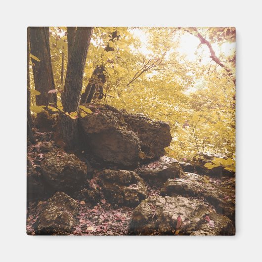 バックボーン州パークアイオワ マグネット (正面)