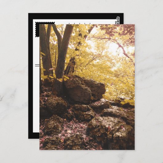 バックボーン州立公園(アイオワ州) ポストカード (正面/裏面)