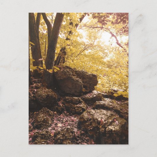 バックボーン州立公園(アイオワ州) ポストカード (正面)