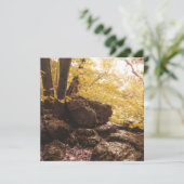 バックボーン州立公園 アイオワ 招待状 (スタンド正面)