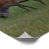 バックポスタープリント ポスター (角)