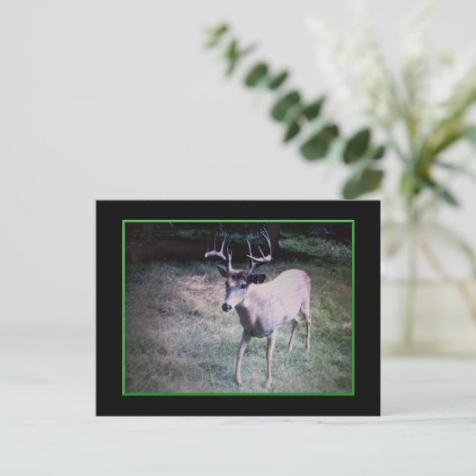 バックポストカード ポストカード (スタンド正面)