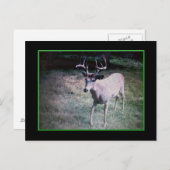 バックポストカード ポストカード (正面/裏面)