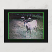 バックポストカード ポストカード (正面)