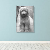 バックヤードのゴルデンドルパピー キャンバスプリント (インサイチュ (ウッドフロア))