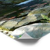 バックヤードガーデンウォーターフォール ポスター (角)