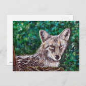 バックヤードコヨーテ絵画ズ ポストカード (正面/裏面)