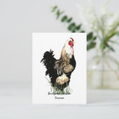 バックヤードチキン農家とルースターデザイン ポストカード (スタンド正面)