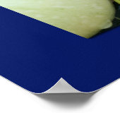 バックヤードバウンティプリント ポスター (角)