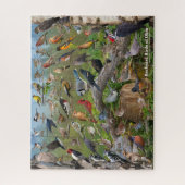 バックヤードバードオブオハイオパズル ジグソーパズル (縦)