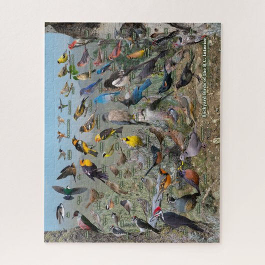 バックヤードバードオブザブリックズインテリア ジグソーパズル (縦)