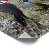 バックヤードバードオブザブリックズインテリア ポスター (角)