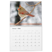 バックヤードバードカレンダー4thシリーズ カレンダー (1月 2026)