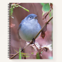 バックヤードバードノートブック – Blue-Gray Gnatcatcher ノートブック
