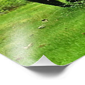 バックヤードブラックベア フォトプリント            (角)