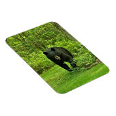 バックヤードブラックベア マグネット (右側)