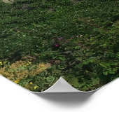 バックヤード火山 ポスター (角)