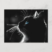 バックライトグローペット子猫損失を有する悔やみや弔慰 ポストカード (正面)