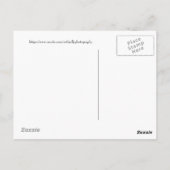 バックライトパームフェニックス、アリゾナのはがき ポストカード (裏面)