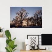 バックライト付きの氷の木 ポスター (ホームオフィス)