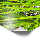 バックライト付きソーパレット正面 フォトプリント            (角)