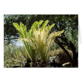 バックライト付き手のひら