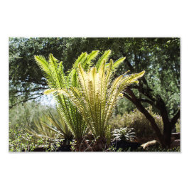 バックライト付き手のひら フォトプリント           