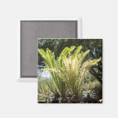 バックライト付き手のひら マグネット (正面/裏面)