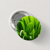 バックラ葉イトズインガーデン 缶バッジ (正面&裏面)