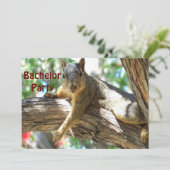 バックロールパーティー_招待状 招待状 (スタンド正面)