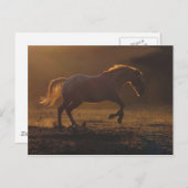 バック白熱［赤熱］光を放つライトランニングの馬 ポストカード (正面/裏面)
