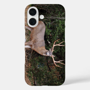 バック電話ケース iPhone 16ケース