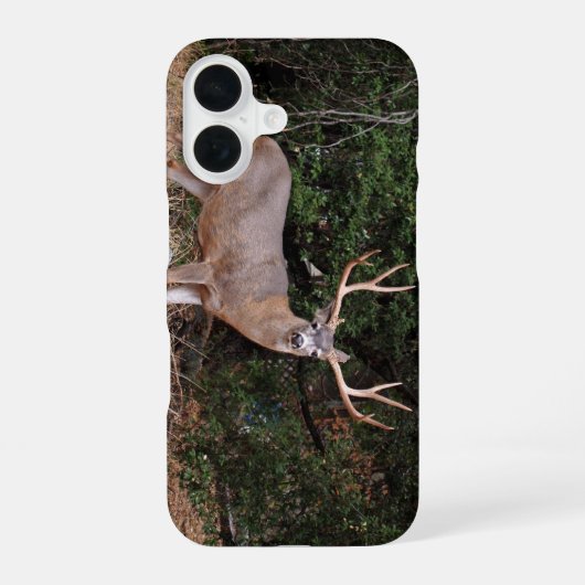バック電話ケース iPhone 16ケース (裏面)