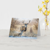 バック・カップル マールディアー| カード (黄色い花)